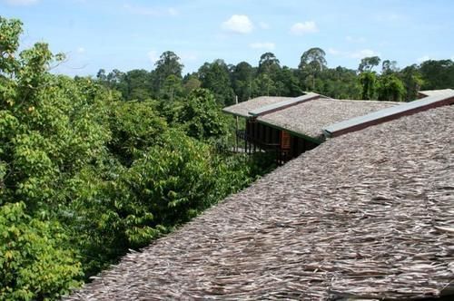 Paganakan Dii Tropical Retreat Sepilok Exterior foto